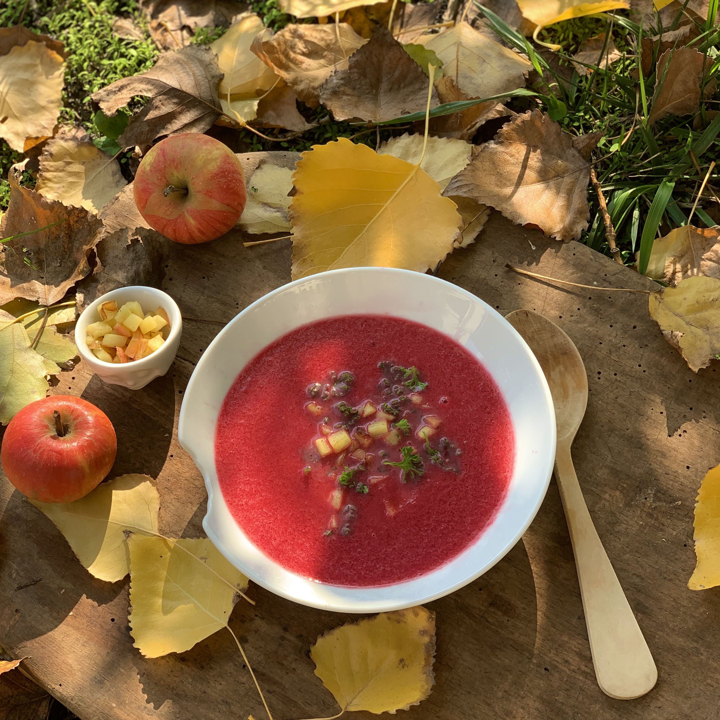  Red beets have ruled for centuries: First reports of their medicinal properties date back 2500 years to Hippocrates and they were considered an ailment for blood diseases in the Middle Ages. One hundred years ago, doctors prescribed them for fatigue. And rightly so, because beets are packed with vitamins and secondary plant nutrients that play an important role in cancer prevention.  